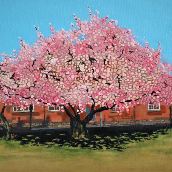 Sakura blossom by Martin Davis