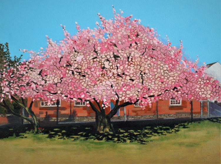 Sakura blossom by Martin Davis