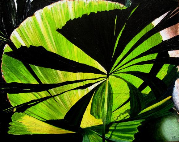 Cairns Botanical by Martin Davis